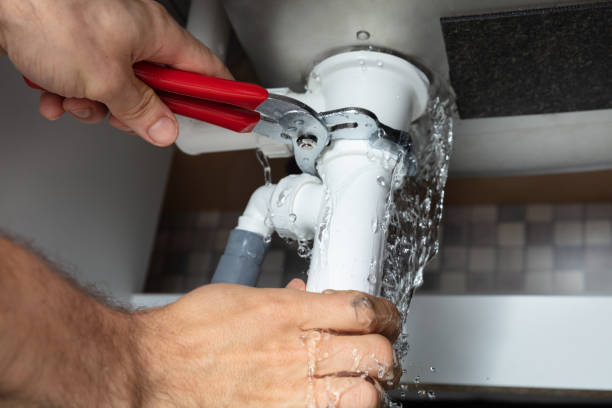 Best Flooded house restoration  in Rush City, MN