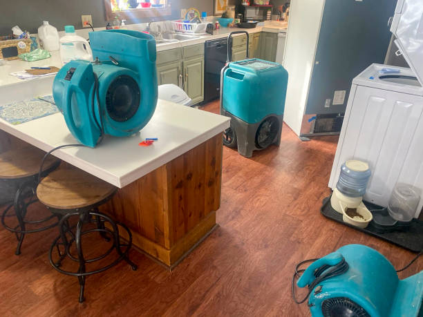 Best Carpet water damage restoration  in Rush City, MN