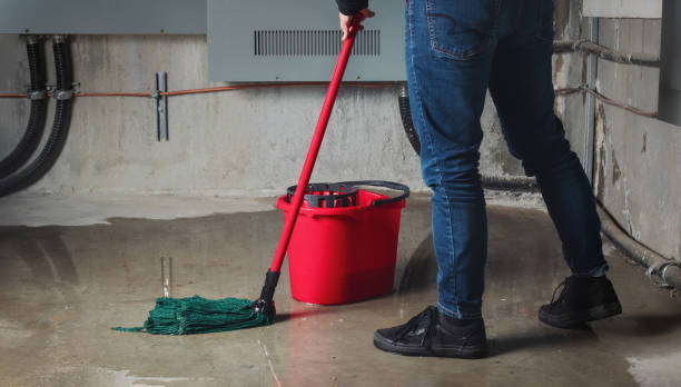 Best 24/7 water damage repair  in Rush City, MN