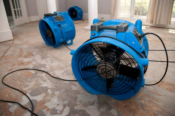 Water damage restoration mold remediation in MN