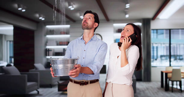 Best Ceiling water damage repair  in Rush City, MN